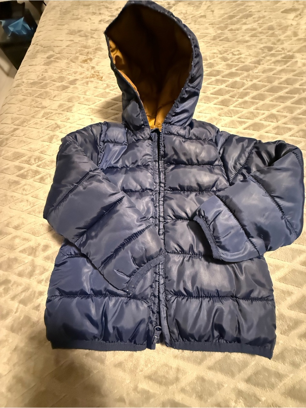Navy Hooded Puffer Jacket with Gold Lining